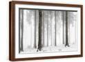 Brown Frame