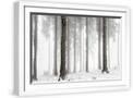 White Frame