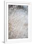Gramercy White