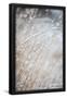 Essential Black