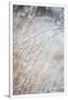 Gramercy White