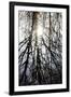Gramercy Black