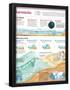 Essential Black