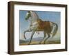 Marengo, the Horse of Napoleon I of France (Oil on Canvas)-Baron Antoine Jean Gros-Framed Giclee Print