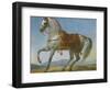 Marengo, the Horse of Napoleon I of France (Oil on Canvas)-Baron Antoine Jean Gros-Framed Giclee Print