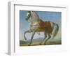 Marengo, the Horse of Napoleon I of France (Oil on Canvas)-Baron Antoine Jean Gros-Framed Giclee Print