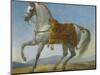 Marengo, the Horse of Napoleon I of France (Oil on Canvas)-Baron Antoine Jean Gros-Mounted Giclee Print