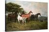 Mares and Foal with a Sheepdog-John Emms-Stretched Canvas