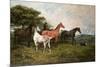 Mares and Foal with a Sheepdog-John Emms-Mounted Giclee Print