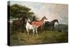 Mares and Foal with a Sheepdog-John Emms-Stretched Canvas