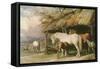 Mares and Foals, 19th Century-William Barraud-Framed Stretched Canvas