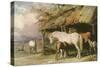 Mares and Foals, 19th Century-William Barraud-Stretched Canvas