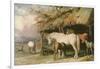 Mares and Foals, 19th Century-William Barraud-Framed Giclee Print