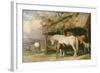 Mares and Foals, 19th Century-William Barraud-Framed Giclee Print