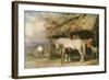 Mares and Foals, 19th Century-William Barraud-Framed Giclee Print