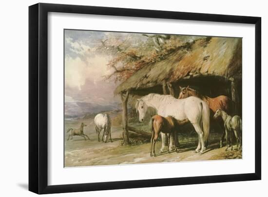 Mares and Foals, 19th Century-William Barraud-Framed Giclee Print