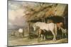 Mares and Foals, 19th Century-William Barraud-Mounted Giclee Print