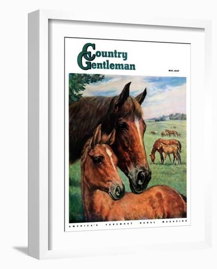"Mares and Foals," Country Gentleman Cover, May 1, 1947-Francis Chase-Framed Giclee Print