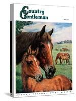 "Mares and Foals," Country Gentleman Cover, May 1, 1947-Francis Chase-Stretched Canvas