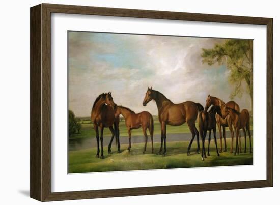 Mares and Foals Disturbed by an Approaching Storm, 1764-66-George Stubbs-Framed Giclee Print