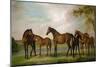 Mares and Foals Disturbed by an Approaching Storm, 1764-66-George Stubbs-Mounted Giclee Print