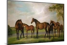 Mares and Foals Disturbed by an Approaching Storm, 1764-66-George Stubbs-Mounted Giclee Print