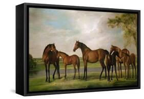 Mares and Foals Disturbed by an Approaching Storm, 1764-66-George Stubbs-Framed Stretched Canvas