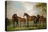 Mares and Foals Disturbed by an Approaching Storm, 1764-66-George Stubbs-Stretched Canvas