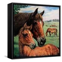 "Mares and Foals,"May 1, 1947-Francis Chase-Framed Stretched Canvas