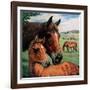 "Mares and Foals,"May 1, 1947-Francis Chase-Framed Giclee Print