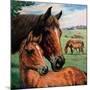 "Mares and Foals,"May 1, 1947-Francis Chase-Mounted Giclee Print