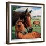 "Mares and Foals,"May 1, 1947-Francis Chase-Framed Giclee Print