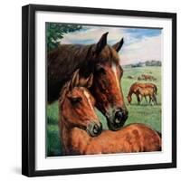 "Mares and Foals,"May 1, 1947-Francis Chase-Framed Giclee Print