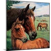 "Mares and Foals,"May 1, 1947-Francis Chase-Mounted Giclee Print