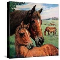 "Mares and Foals,"May 1, 1947-Francis Chase-Stretched Canvas