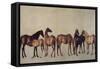 Mares and Foals Without a Background, circa 1762-George Stubbs-Framed Stretched Canvas