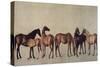 Mares and Foals Without a Background, circa 1762-George Stubbs-Stretched Canvas