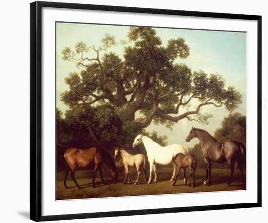 Mares and Foals-George Stubbs-Framed Premium Giclee Print