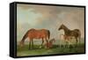 Mares and Foals-Sawrey Gilpin-Framed Stretched Canvas
