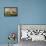 Mares and Foals-Sawrey Gilpin-Framed Stretched Canvas displayed on a wall