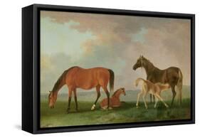 Mares and Foals-Sawrey Gilpin-Framed Stretched Canvas