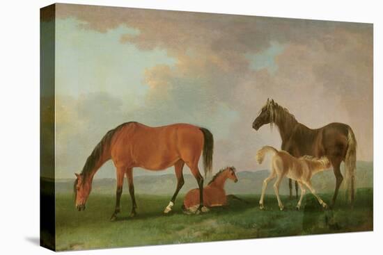 Mares and Foals-Sawrey Gilpin-Stretched Canvas