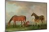 Mares and Foals-Sawrey Gilpin-Mounted Giclee Print
