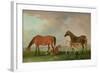 Mares and Foals-Sawrey Gilpin-Framed Giclee Print