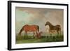 Mares and Foals-Sawrey Gilpin-Framed Giclee Print