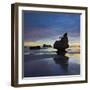 Mares Leg Cove, Coromadel Peninsula, Waikato, North Island, New Zealand-Rainer Mirau-Framed Photographic Print