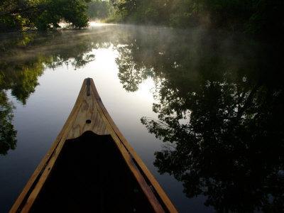Canoeing Alexander Springs Creek, Ocala National Forest, Florida