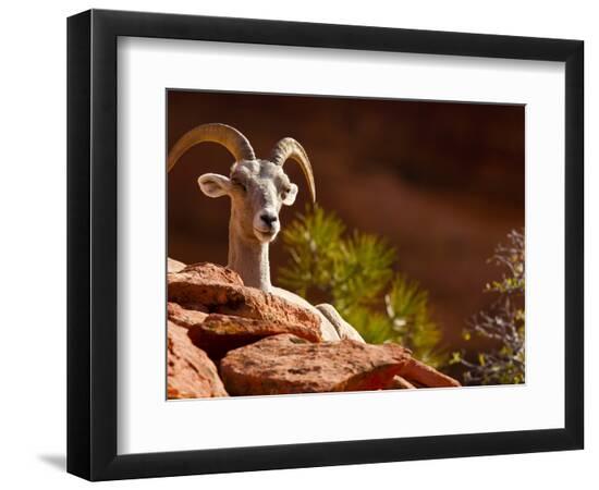 Premium Photographic Print, , large