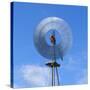 Stretched Canvas