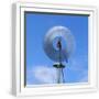 White Frame